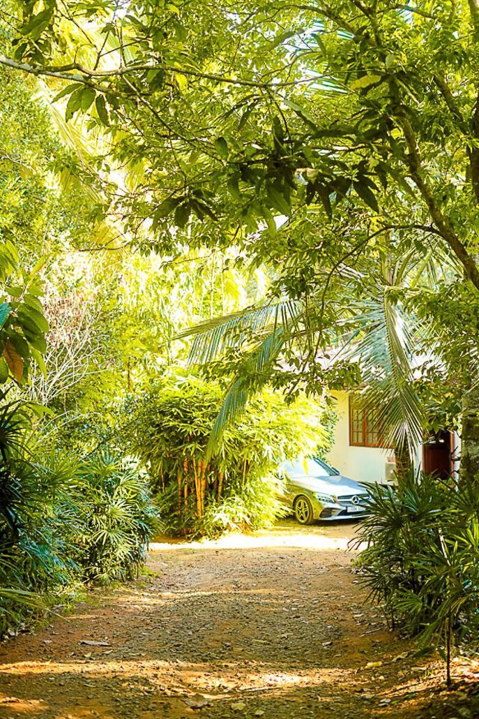 Walawwa Matale Hotel Exterior foto